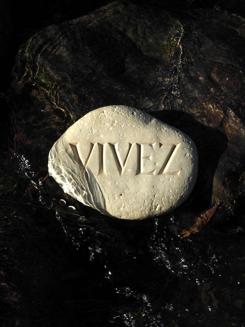 Vivez, pierre gravée dans l'eau